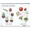 Learning Resources Giant Magnetic Plant Life Cycle, Ages 5+ -Learning Resources GUEST 38aefa20 ae9f 4364 bf1d 9f265015f1fa