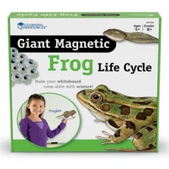 Learning Resources Giant Magnetic Frog Life Cycle, Ages 5+ -Learning Resources GUEST 3e9d1e2c acbf 4515 a103 a3fbee0b54b7