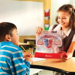 Learning Resources Pumping Heart Model, Science Model, Ages 8+