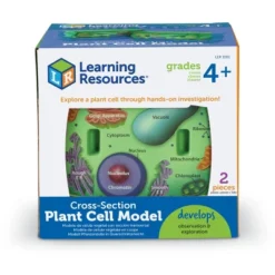 Learning Resources Cross-section Plant Cell Model -Learning Resources GUEST 59cb3068 aa25 4b0a 810a e59182c47fc2